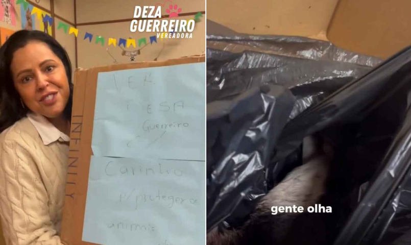Defensora da causa animal, vereadora do RS recebe cachorro morto em caixa: 'Ameaça para silenciar a voz'