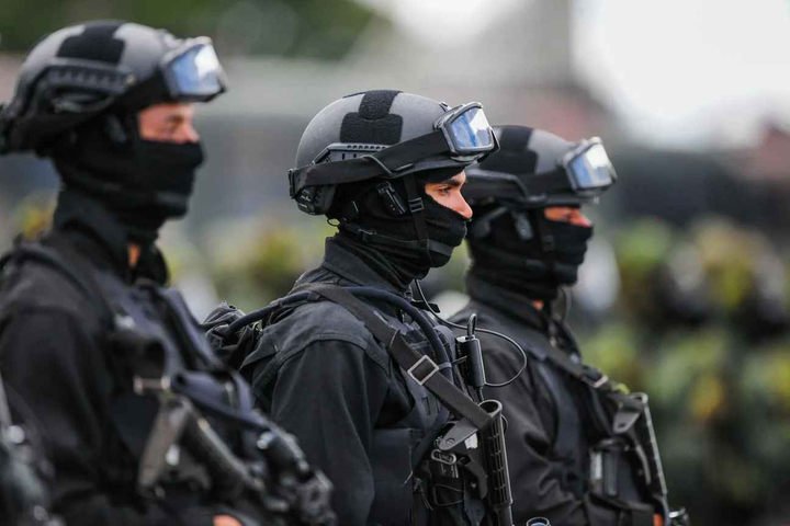 Nos livros de história militar, o termo faz referência ao codinome utilizado para definir o comandante da unidade que combateu guerrilheiros do Araguaia — Foto: Divulgação / Exército Brasileiro