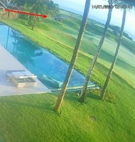 Seta indica onde está o carrinho de golfe — Foto: PF