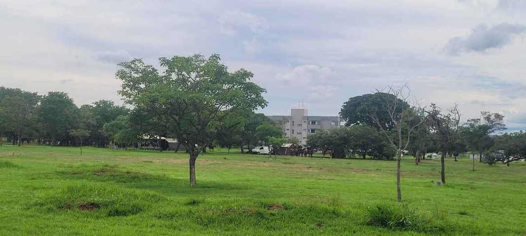 Heleno e Paulo Sérgio foram levados à prisão por oficiais quatro estrelas